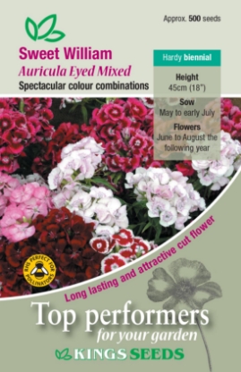 Picture of Sweet William Auricula Eyed Mixed