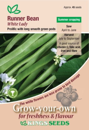 Picture of Runner Bean White Lady 