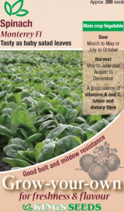 Picture of Spinach Monterey F1