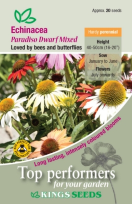 Picture of Echinacea Paradiso Dwarf Mixed