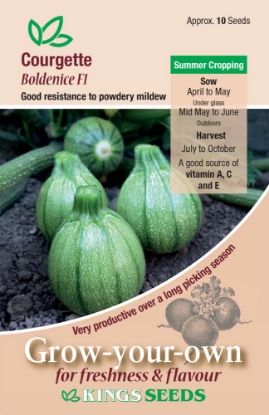 Picture of Courgette Boldenice F1