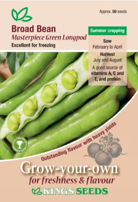 Picture of Broad Bean Masterpiece Green 