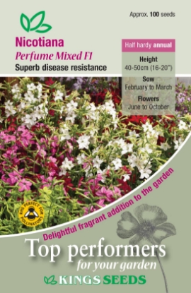 Picture of Nicotiana Perfume Mixed F1