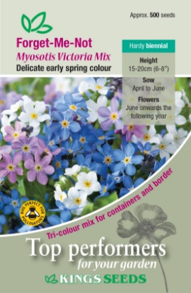 Picture of Forget Me Not Victoria Mix (Myosotis)