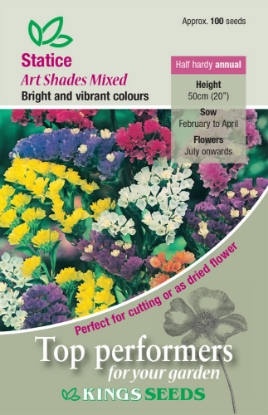 Picture of Statice Art Shades Mixed