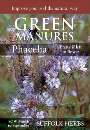 Picture of Phacelia Tanacetefolia (Pack For 25 Sq.M)