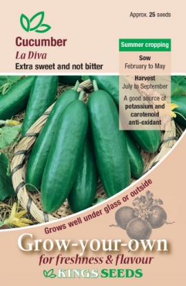 Picture of Cucumber La Diva