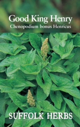 Picture of Good King Henry