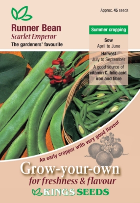 Picture of Runner Bean Scarlet Emperor 