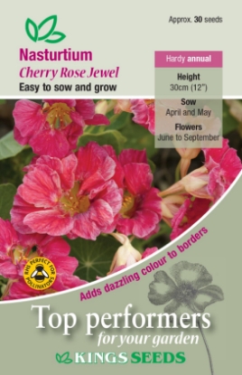 Picture of Nasturtium Cherry Rose Jewel