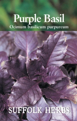 Picture of Basil Purple
