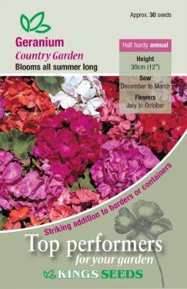 Picture of Geranium Country Garden
