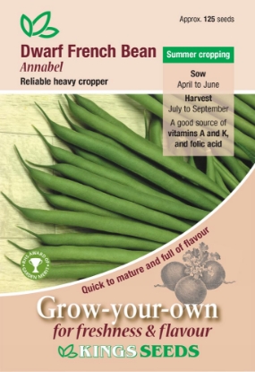 Picture of Dwarf French Bean Annabel 
