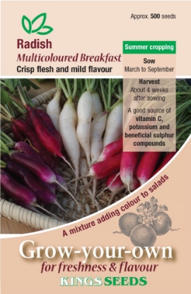 Picture of Radish Multicoloured Breakfast Mixed