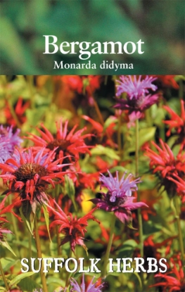 Picture of Bergamot Mixed