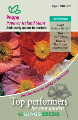 Picture of Poppy Iceland Giant