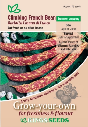 Picture of Climb French Bean Barlotta Lingua Di Fuoco
