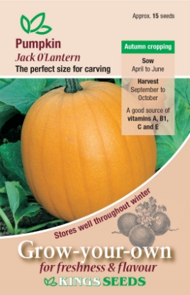 Picture of Pumpkin Jack O Lantern