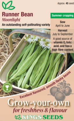 Picture of Runner Bean Moonlight 
