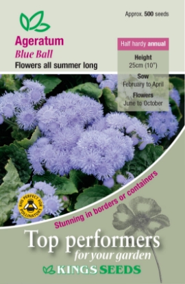 Picture of Ageratum Blue Ball