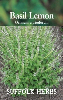 Picture of Basil Lemon