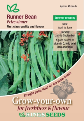 Picture of Runner Bean Prizewinner 