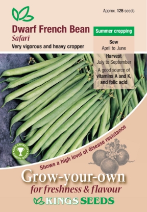Picture of Dwarf French Bean Safari 
