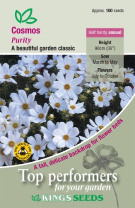 Picture of Cosmos Purity