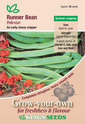 Picture of Runner Bean Polestar 
