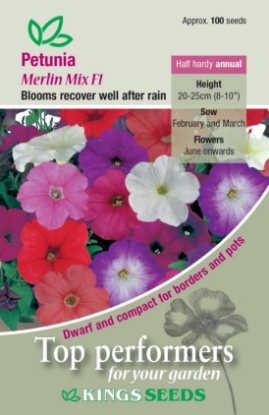 Picture of Petunia Merlin Mixed F1