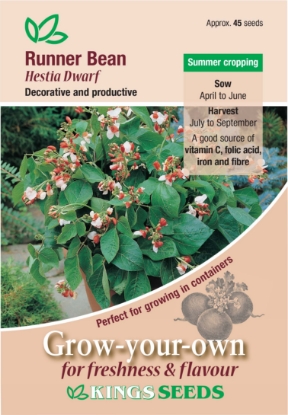 Picture of Runner Bean Hestia Dwarf 