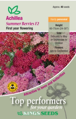 Picture of Achillea Summer Berries F2
