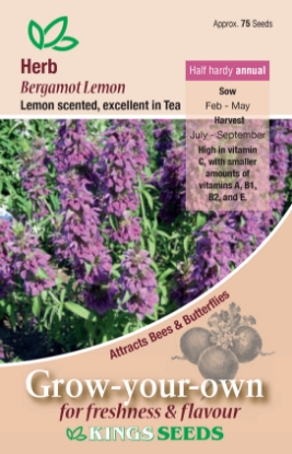 Picture of Herb Bergamot Lemon