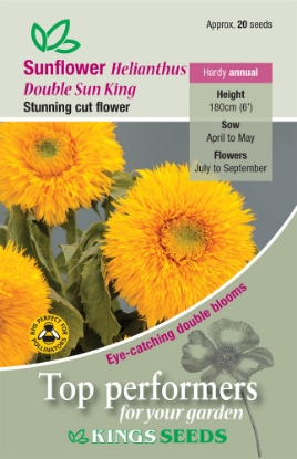 Picture of Sunflower Double Sun King
