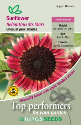 Picture of Sunflower Ms Mars