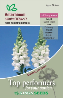 Picture of Antirrhinum Admiral White