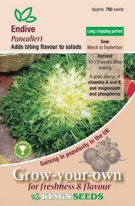 Picture of Endive Pancalieri RHS AGM