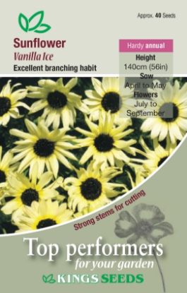 Picture of Sunflower Vanilla Ice
