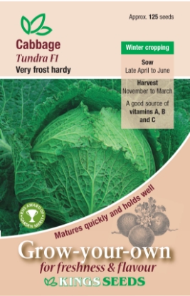 Picture of Cabbage Tundra F1 RHS AGM