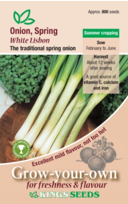 Picture of Onion Spring White Lisbon RHS AGM