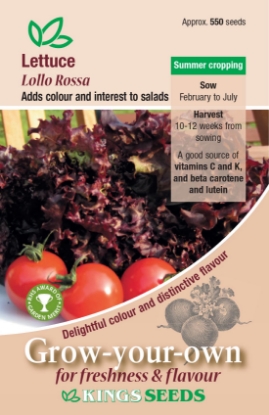 Picture of Lettuce Lollo Rossa RHS AGM