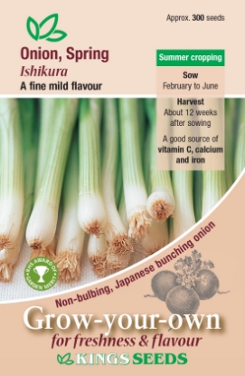 Picture of Onion Spring Ishikura