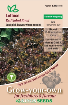 Picture of Lettuce Red Salad Bowl RHS AGM