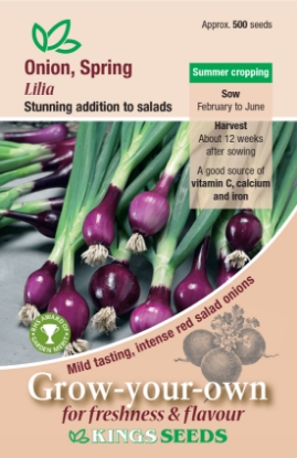 Picture of Onion Spring Lilia RHS AGM