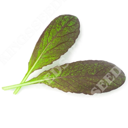 Picture of Mustard Red Lion