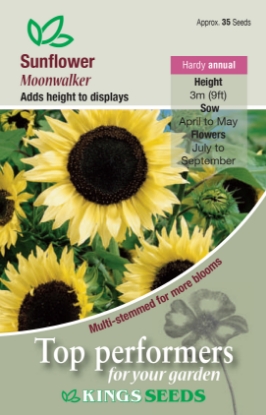 Picture of Sunflower Moonwalker