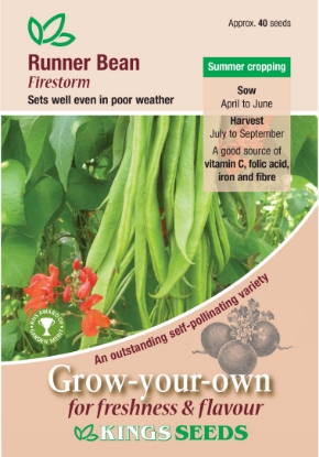 Picture of Runner Bean Firestorm 