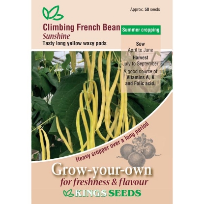 Picture of Climbing French Bean Sunshine 