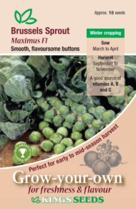 Picture of Brussels Sprout Maximus F1 RHS AGM