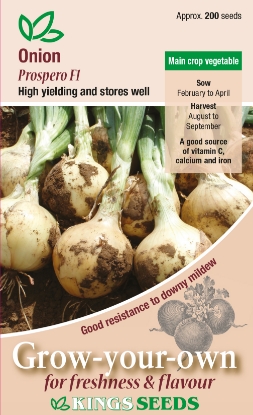 Picture of Onion Prospero F1